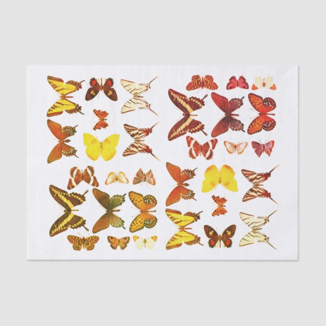 Types of Butterflies Collection Red Yellow Tissue Paper (Front)