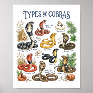 Types of Cobras Watercolor Snake Wildlife Art Poster