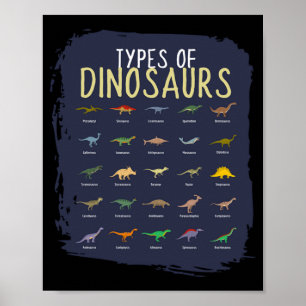 Types Of Dinosaur Dino Children Boys Poster