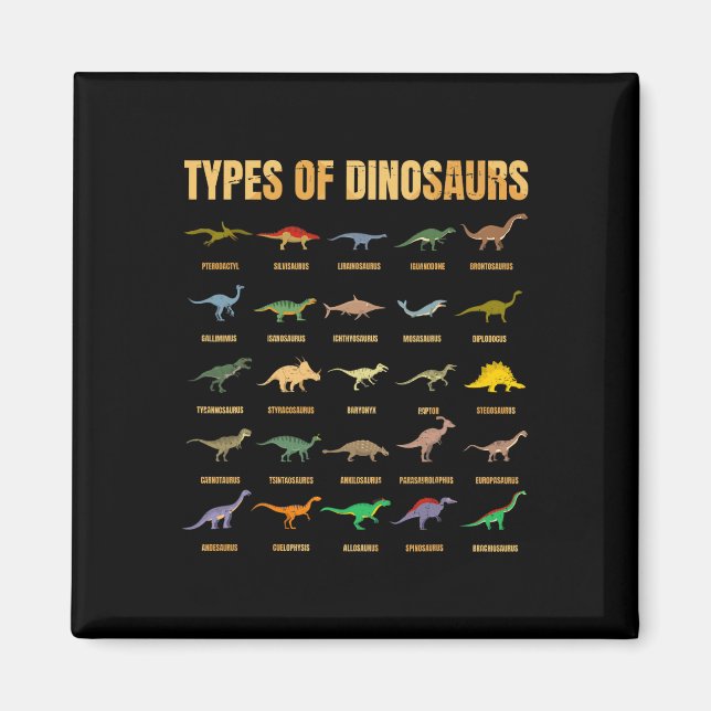 Types Of Dinosaurs - Dino Identification - Rex Din Magnet (Front)