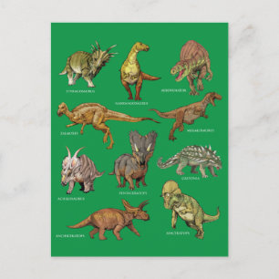 Types of Dinosaurs Illustrations Postcard