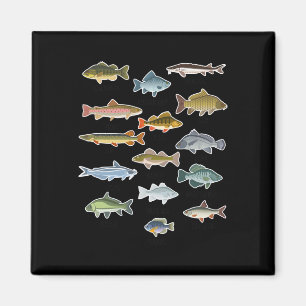 Types Of Freshwater Fish Fishing Magnet