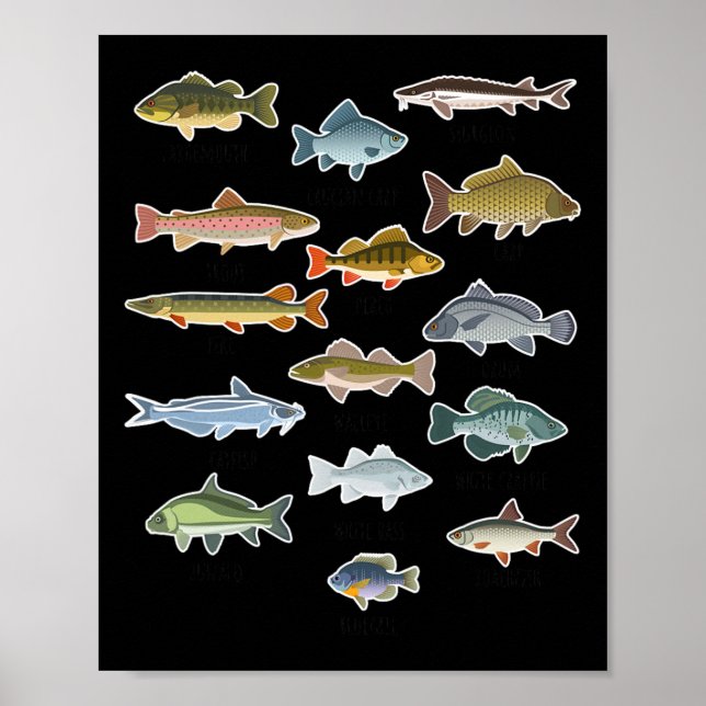 Types Of Freshwater Fish Fishing  Poster (Front)