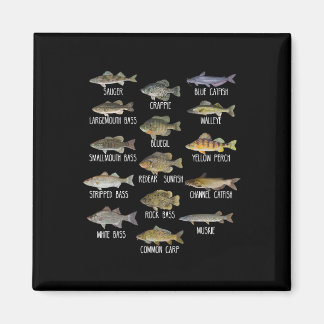 Types Of Freshwater Fish Species Biology Fishing  Magnet