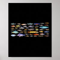 Types Of Freshwater Fish Species Biology Fishing