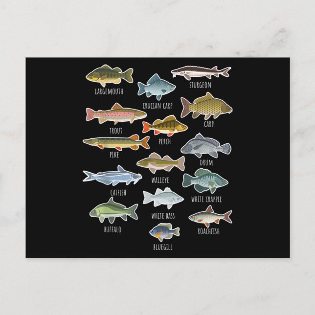 Types Of Freshwater Fish Species Fishing Postcard (Front)