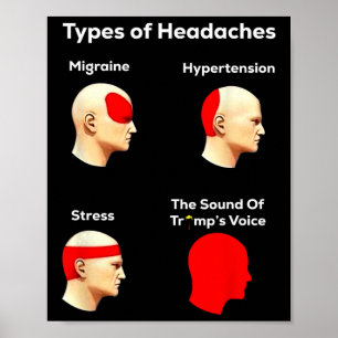 Types Of Headaches, Funny Trump Poster
