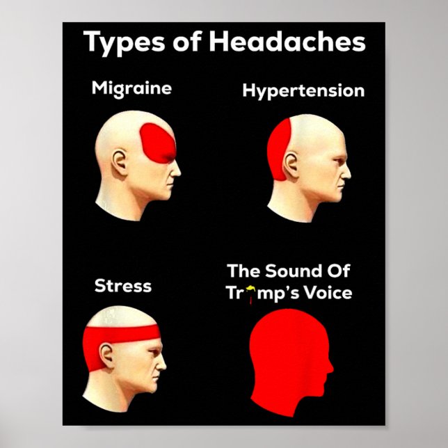 Types Of Headaches, Funny Trump  Poster (Front)