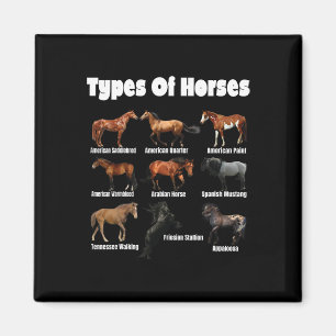 Types Of Horses Retro Horses Breeds Vintage Magnet