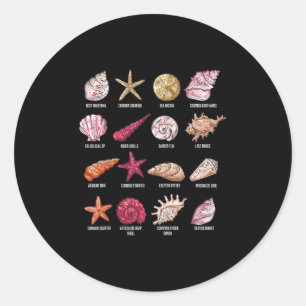 Types Of Seashells Beach Shelling Conch Sea Shell  Classic Round Sticker