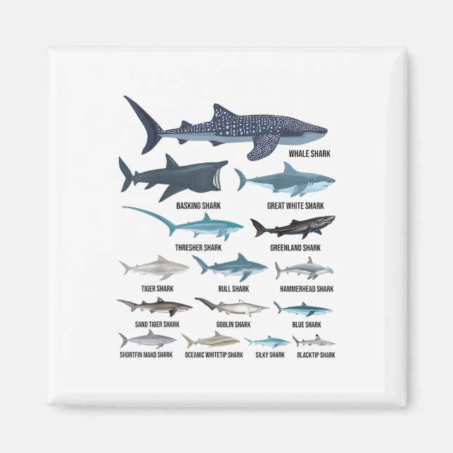 Types Of Sharks Shark Species Identification Ocean Magnet (Front)