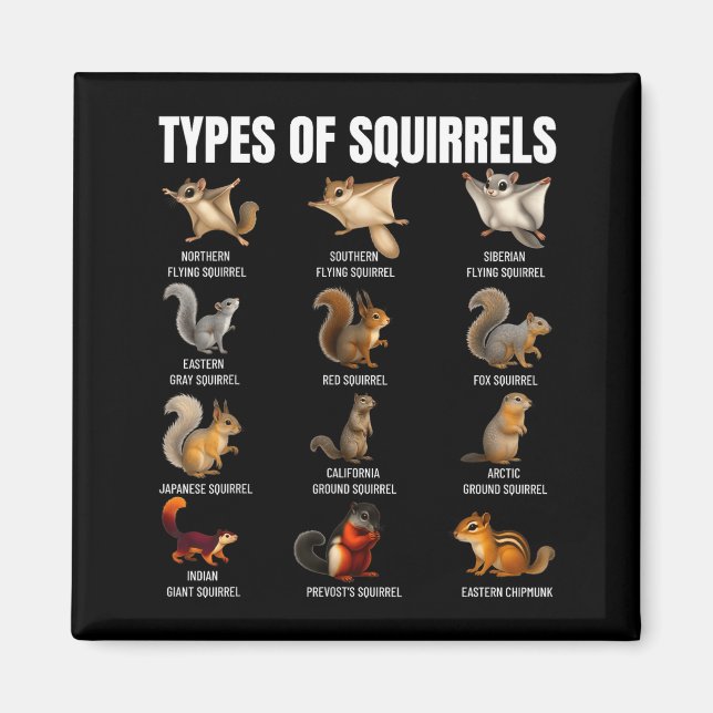 Types Of Squirrels Identification Chart Species Of Magnet (Front)