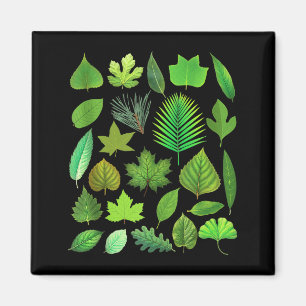 Types Of Tree Leaves Biology Nature Educational Ta Magnet