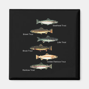 Types Of Trout Fish Species Collection Fishing Magnet