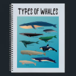 Types Of Whales Ocean Mammal Variety Notebook<br><div class="desc">List of Whales to express love for whales and ocean creatures!</div>