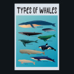 Types Of Whales Ocean Mammal Variety  Poster<br><div class="desc">List of Whales to express love for whales and ocean creatures!</div>