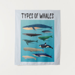 Types Of Whales Ocean Mammal Variety Tapestry