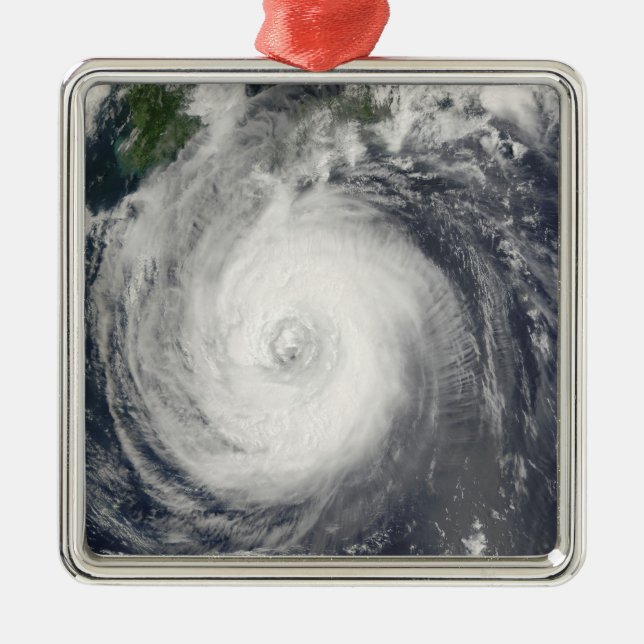 Typhoon Chaba Metal Ornament (Front)