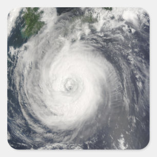 Typhoon Chaba Square Sticker