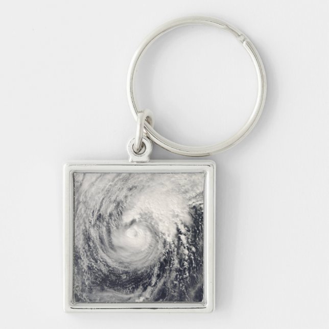 Typhoon Dolphin in the Philippine Sea Key Ring (Front)
