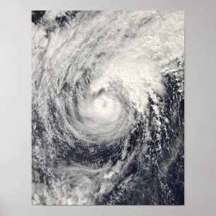 Typhoon Dolphin in the Philippine Sea Poster