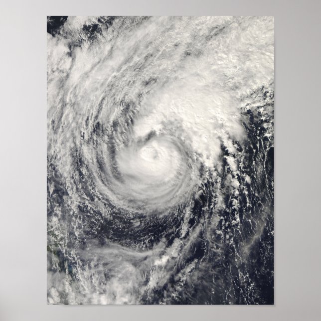 Typhoon Dolphin in the Philippine Sea Poster (Front)