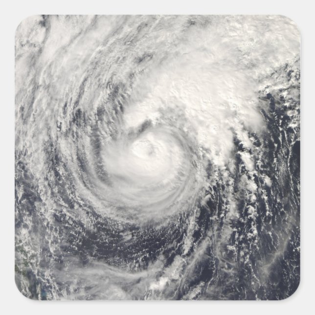 Typhoon Dolphin in the Philippine Sea Square Sticker (Front)