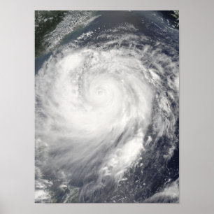Typhoon Haitang Poster
