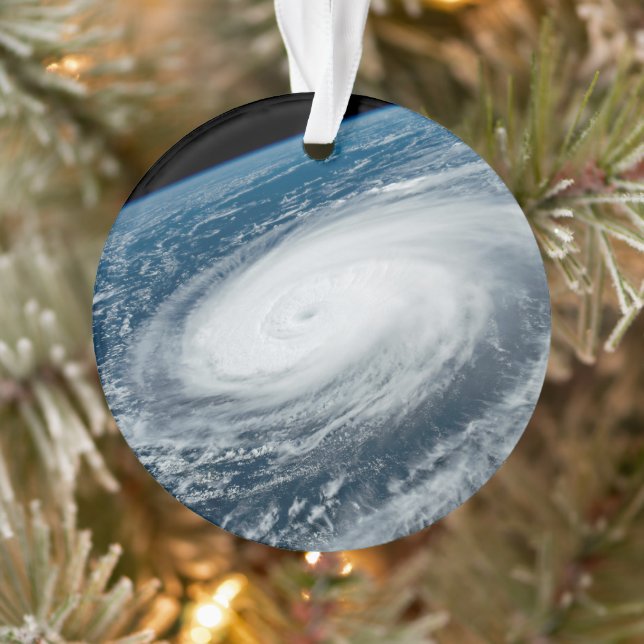 Typhoon Hinnamnor. Ornament (Tree)