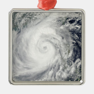 Typhoon Megi 2 Metal Tree Decoration