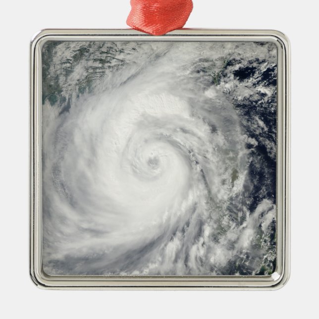 Typhoon Megi 2 Metal Tree Decoration (Front)