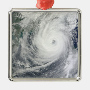 Typhoon Megi 4 Metal Ornament