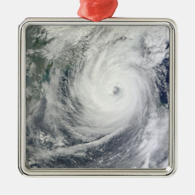 Typhoon Megi 4 Metal Ornament (Front)