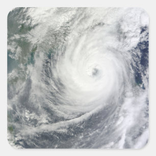 Typhoon Megi 4 Square Sticker