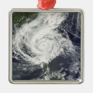 Typhoon Parma Metal Tree Decoration