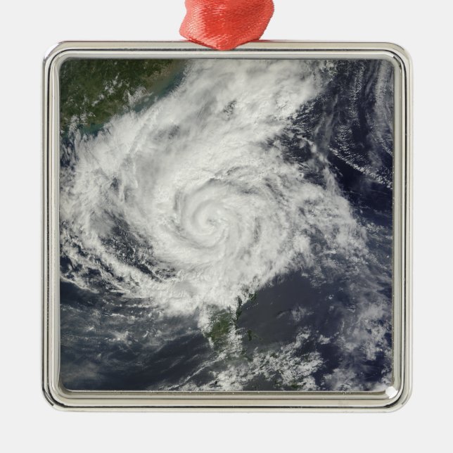 Typhoon Parma Metal Tree Decoration (Front)