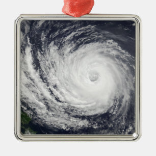 Typhoon Phanfone Metal Tree Decoration