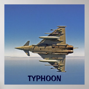TYPHOON POSTER