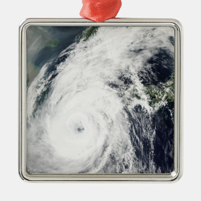 Typhoon Rusa 2 Metal Tree Decoration (Front)
