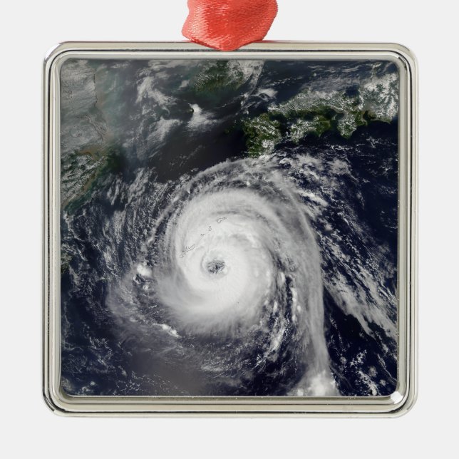 Typhoon Sinlaku 2 Metal Ornament (Front)