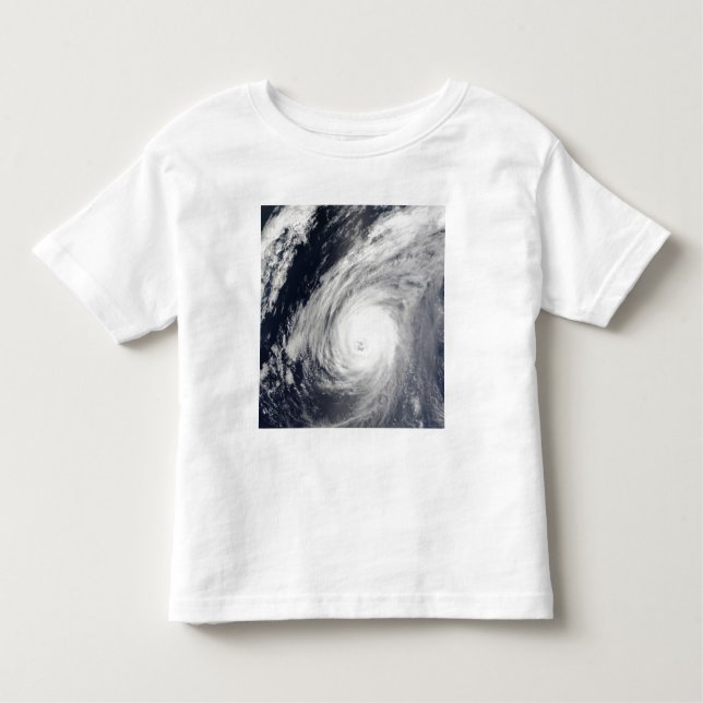 Typhoon Sudal south of Japan 3 Toddler T-Shirt (Front)