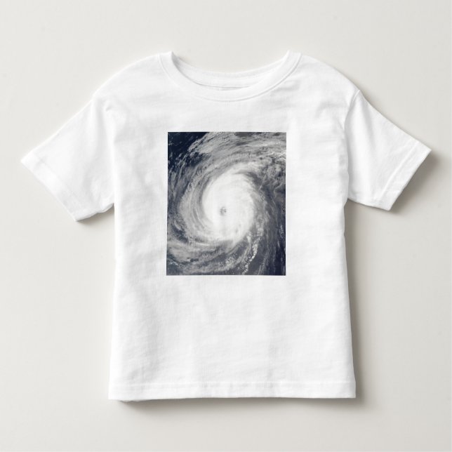 Typhoon Sudal south of Japan Toddler T-Shirt (Front)