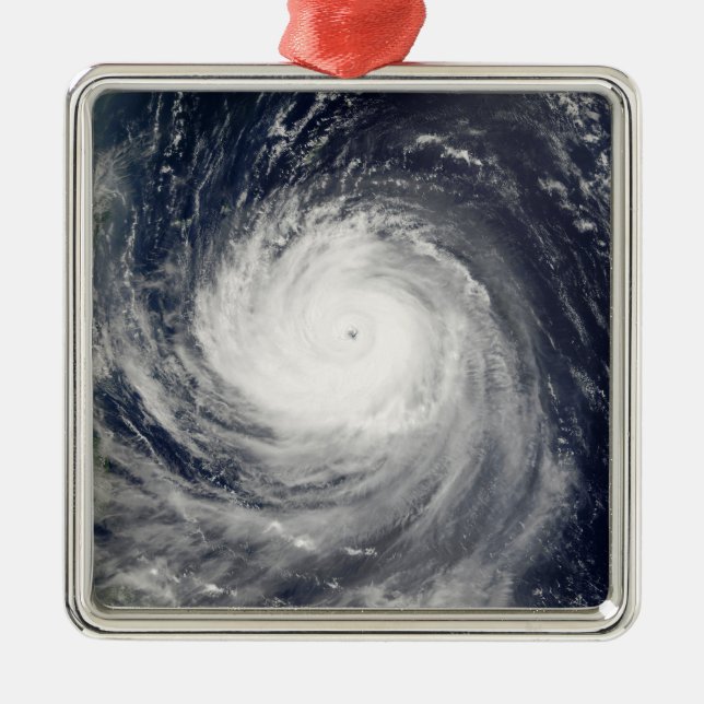 Typhoon Talim Metal Ornament (Front)