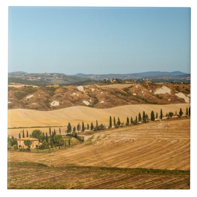 Typical landscapes for Siena Province in Tuscany Ceramic Tile (Front)