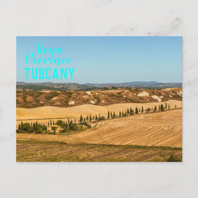 Typical landscapes for Siena Province in Tuscany Postcard (Front)