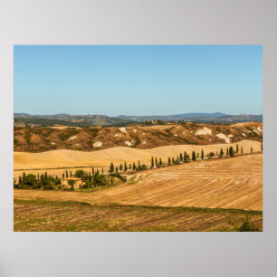 Typical landscapes for Siena Province in Tuscany Poster