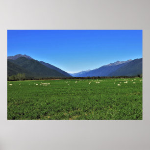 Typical New Zealand Poster