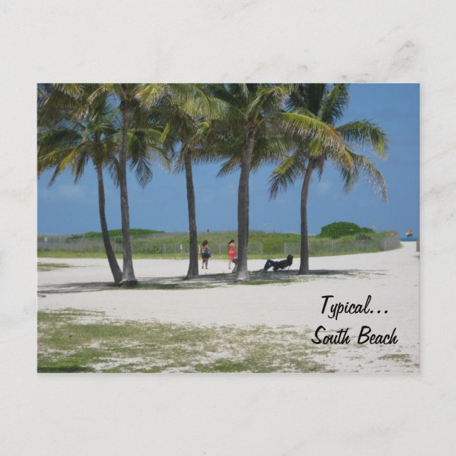 Typical...South Beach Postcard (Front)