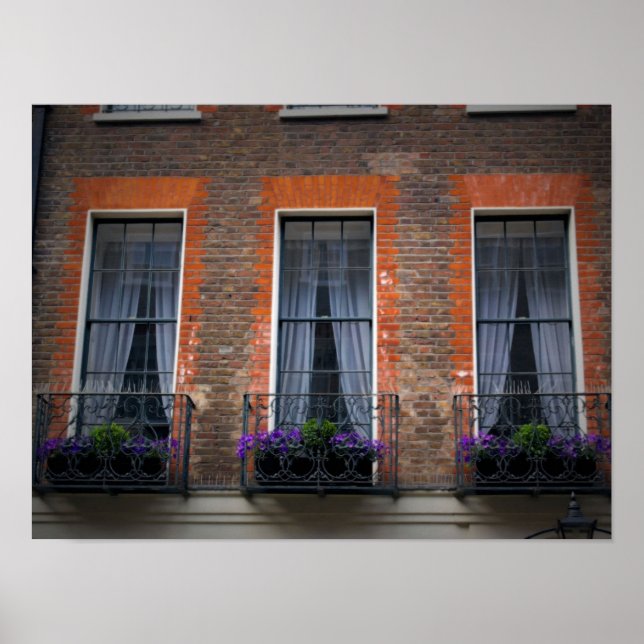 Typical Springtime London Window Flower Boxes Poster (Front)