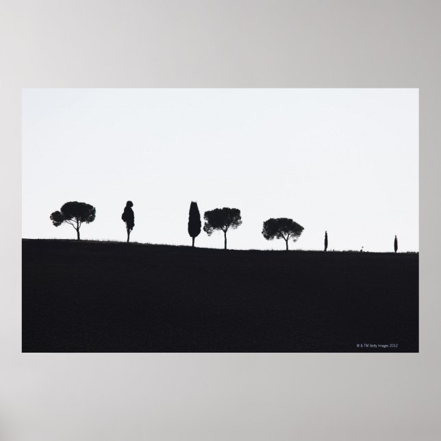 Typical trees in Tuscany Poster (Front)
